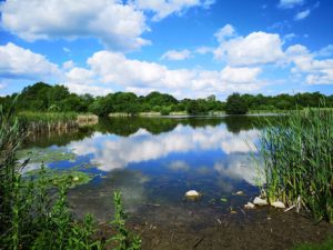 Foto Eidersee